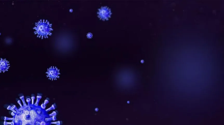 Źródło: Adobe Stock