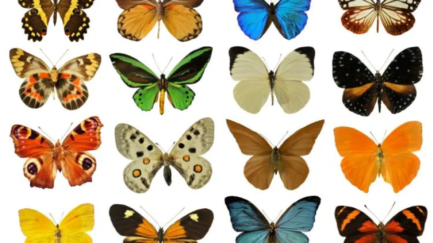 Źródło: Fotolia