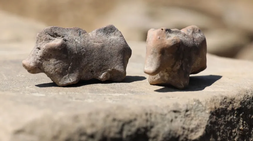 Prezentacja znaleziska archeologicznego w postaci figurek świń sprzed 3,5 tys. lat, 13 bm. w Maszkowicach (woj. małopolskie). To dość rzadkie znalezisko. Osada, gdzie dokonano odkrycia, jest otoczona murem kamiennym, co stanowi unikat w tej części Europy z tego okresu. (kf) PAP/Grzegorz Momot 13.08.2020