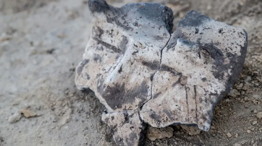 Brzeg naczynia zdobiony ornamentem antropomorficznym z okresu wczesnego neolitu, znaleziony podczas prac archeologicznych w Biskupicach, 26 bm. Podczas badań znaleziono przedmioty z okresu wczesnego neolitu, sprzed siedmiu tysięcy lat. Fot. PAP/Łukasz Gągulski 26.08.2020