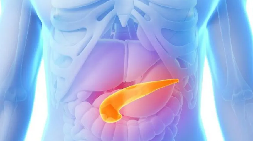 Fot. Fotolia