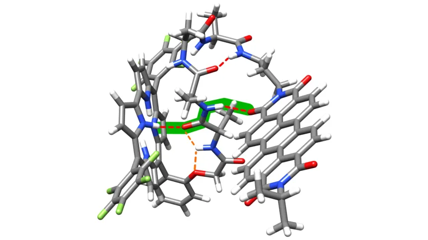 Zaprojektowana przez zespół cząsteczka, w której po raz pierwszy zaobserwowano przeniesienie elektronów dalekiego zasięgu (zielona linia) poprzez wiązania wodorowe (czerwone przerywane linie). Nie zachodzi tu znane już wcześniej tzw. przeskakiwanie (hopping) Źródło: R. Orłowski et al., PNAS 2021