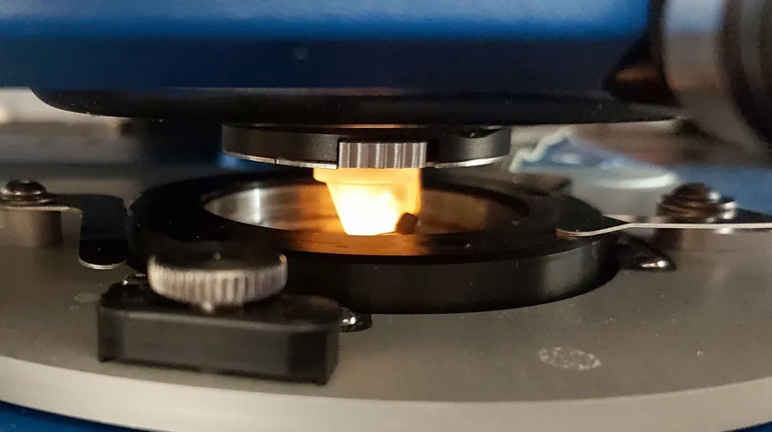 Element with a sampling probe (highlighted) in the atomic force microscope (AFM) at the Spectroscopic Imaging Laboratory of the Institute of Nuclear Physics, Polish Academy of Sciences. (Source: IFJ PAN)