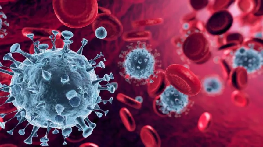 Źródło: Adobe Stock