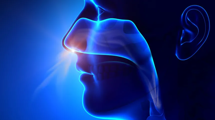 Fot. Fotolia