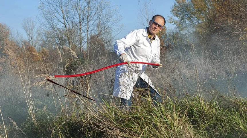 Źródło: ICHF PAN. Koszenie trawy jednym kojarzy się z miłym zapachem, a dla innych staje się intrygującym tematem badawczym. Wszystko za sprawą lotnych związków uwalnianych z roślin.