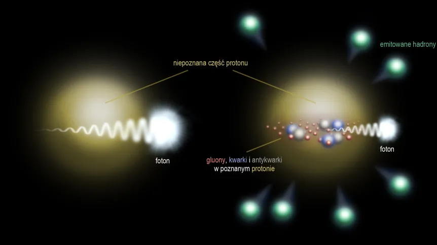 Jeśli foton niesie za mało energii, nie mieści się wewnątrz protonu (po lewej). Foton o dostatecznie dużej energii jest tak mały, że wlatuje do wnętrza protonu, gdzie zauważa jego część (po prawej). Między obszarami „zauważonym” a „niezauważonym” staje się wtedy widoczne maksymalne splątanie. Źródło: IFJ PAN