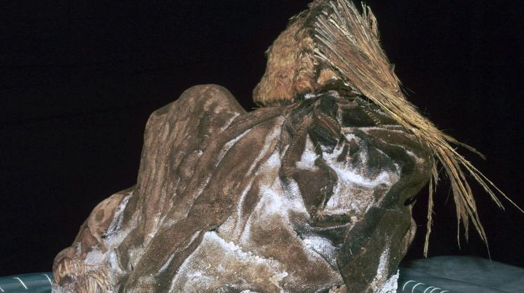 Mumia dziewczyno z wulkanu Ampato  fot. Johan Reinhard