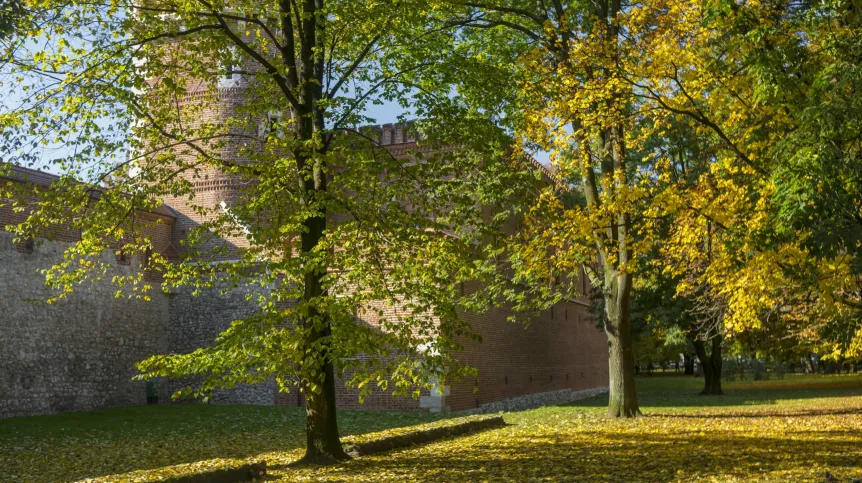 Kraków, 23.10.2016. Krakowskie Planty  (jo/mgut) PAP/Jerzy Ochoński