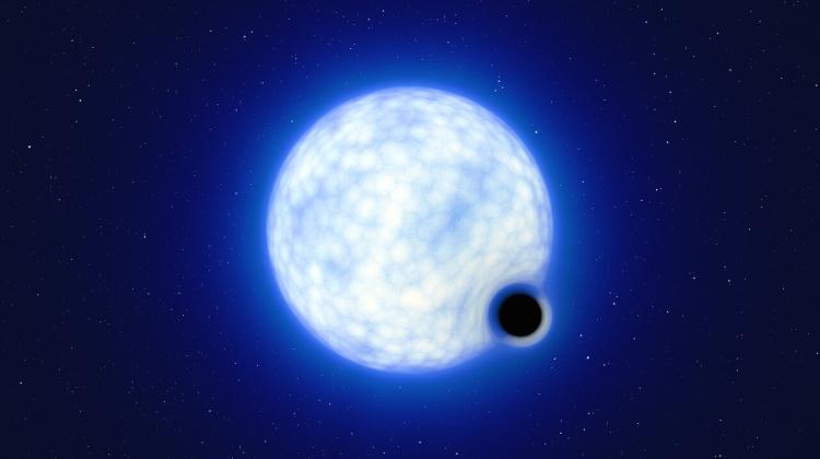 Wizja artystyczna pokazuje, jak mógłby wyglądać układ podwójny VFTS 243, gdybyśmy obserwowali go z bliska. System, który znajduje się w Mgławicy Tarantula w Wielkim Obłoku Magellana, składa się z gorącej, niebieskiej gwiazdy o masie 25 mas Słońca oraz czarnej dziury, która ma masę co najmniej 9 mas Słońca. Rozmiary obu składników układu podwójnego nie są narysowane w skali: w rzeczywistości niebieska gwiazda jest około 200 000 razy większa niż czarna dziura. Credit: ESO/L. Calçada
