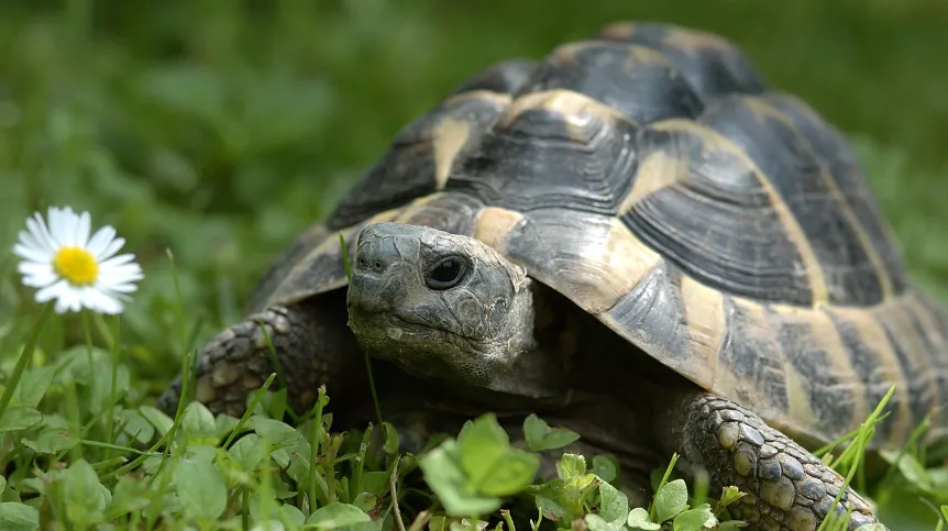 źródło: Adobe Stock