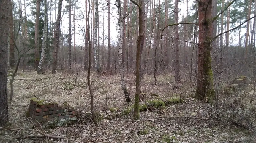 Pozostałości filii obozu koncentracyjnego Gross-Rosen koło Iłowej, pow. żagański. Fot. P. Konczewski