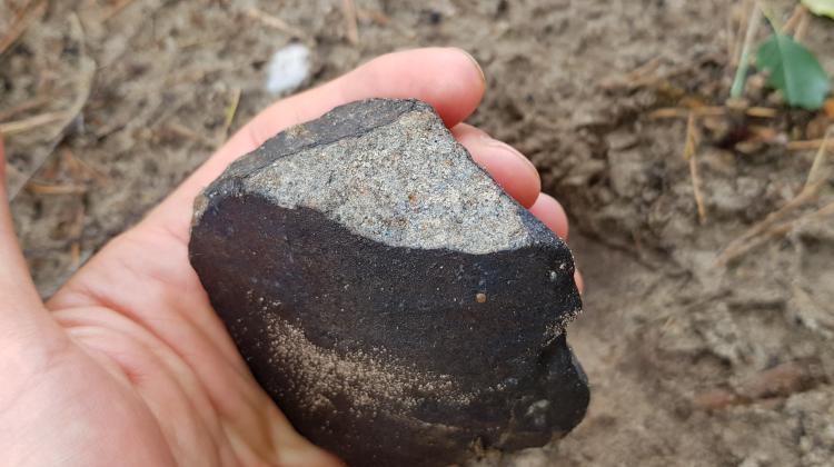 Meteoryt spod Antonina tuż po znalezieniu. Źródło: K. Kmieciak   