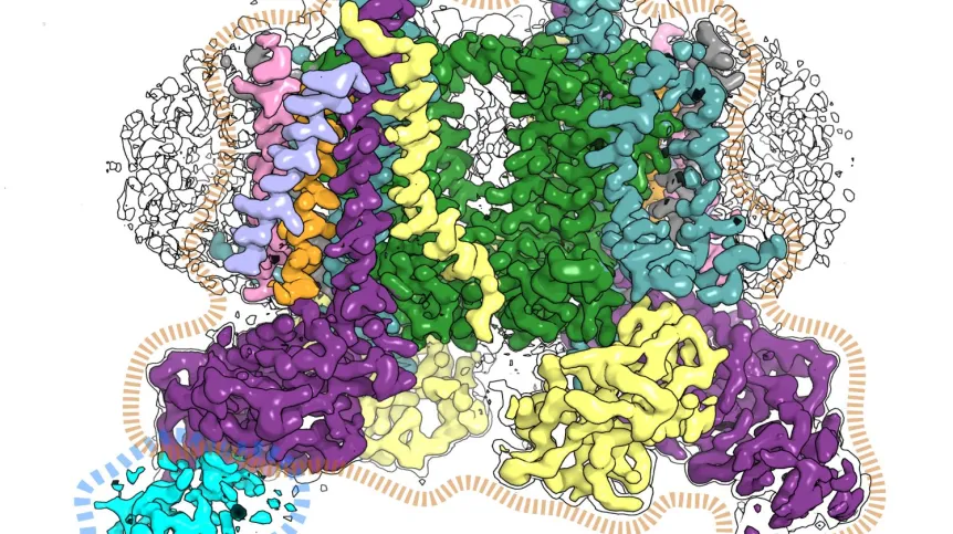 Fot. materiały prasowe