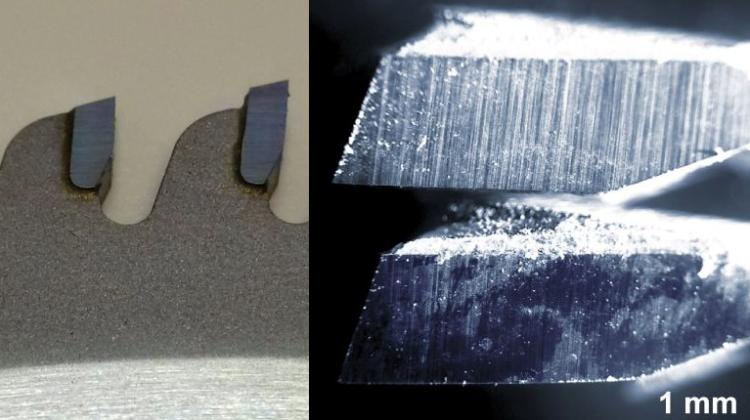 Zęby piły tarczowej do drewna modyfikowanej za pomocą implantacji jonów (widoczne różnice w geometrii zębów). Po prawej zdjęcie mikroskopowe obrazujące różnice w zużyciu między narzędziem niemodyfikowanym (na górze) a udoskonalonym w NCBJ (na dole). Ciemniejsze obszary na dolnym zębie to odtwarzające się struktury amorficznego węgla. Zdjęcia mikroskopowe w kolorach sztucznych. Źródło: NCBJ/PORTA 