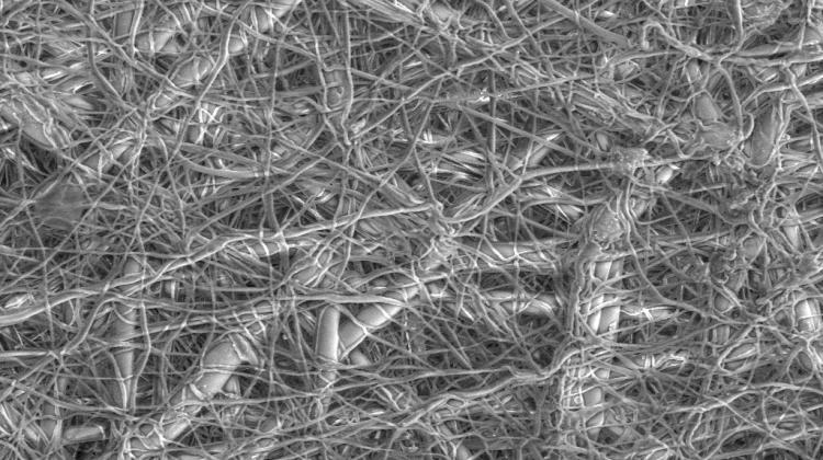 Zdjęcie z mikroskopu elektronowego struktury przykładowej nanowłókniny w powiększeniu 2500 razy. Fot. Jakub Włodarczyk