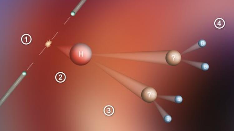 Przebieg poszukiwań rozpadu bozonu Higgsa w przyszłych zderzaczach leptonów: 1) elektron i pozyton z przeciwbieżnych wiązek zderzają się ze sobą; 2) w wyniku zderzenia powstaje higgs o dużej energii; 3) higgs rozpada się na dwie cząstki egzotyczne, oddalające się od osi wiązek; 4) cząstki egzotyczne rozpadają się na pary kwark-antykwark piękny, widoczne dla detektorów. Źródło: IFJ PAN