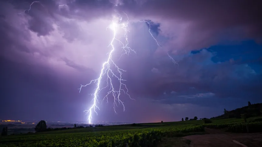 Fot. Adobe Stock