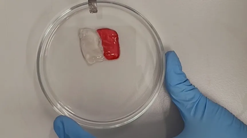 Fot. materiały prasowe