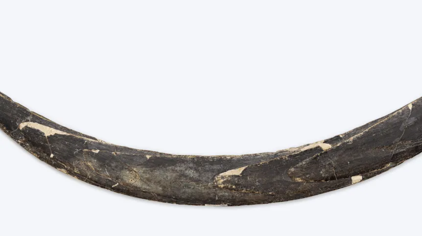 Fot. materiały prasowe