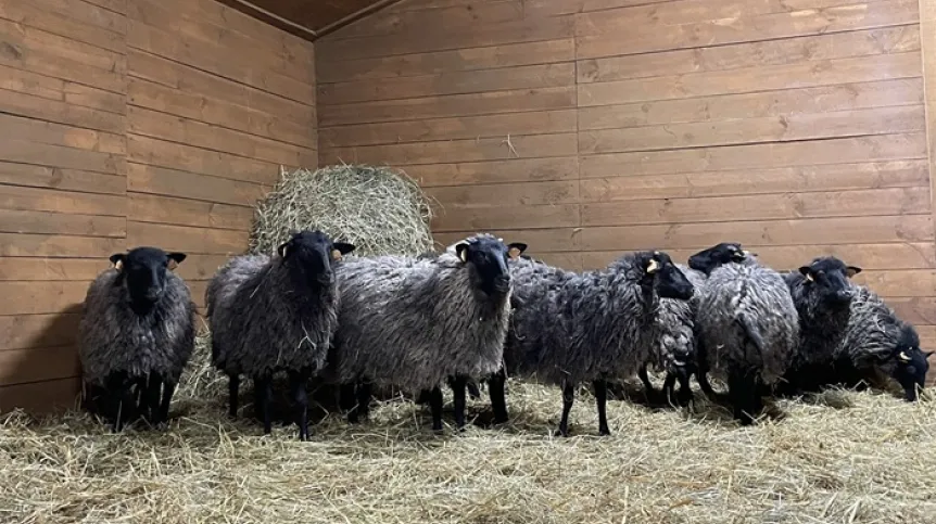 Źródło: mat. prasowe UPP