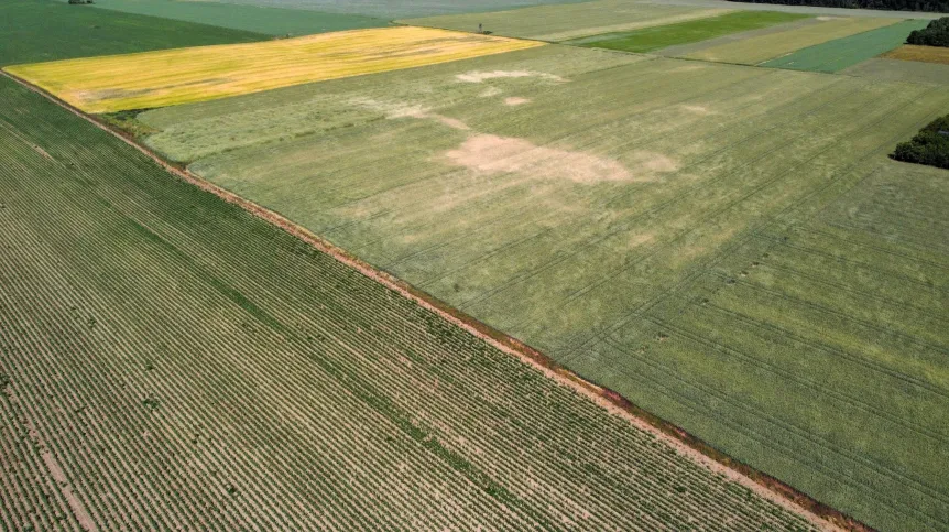13.06.2023 PAP/Lech Muszyński