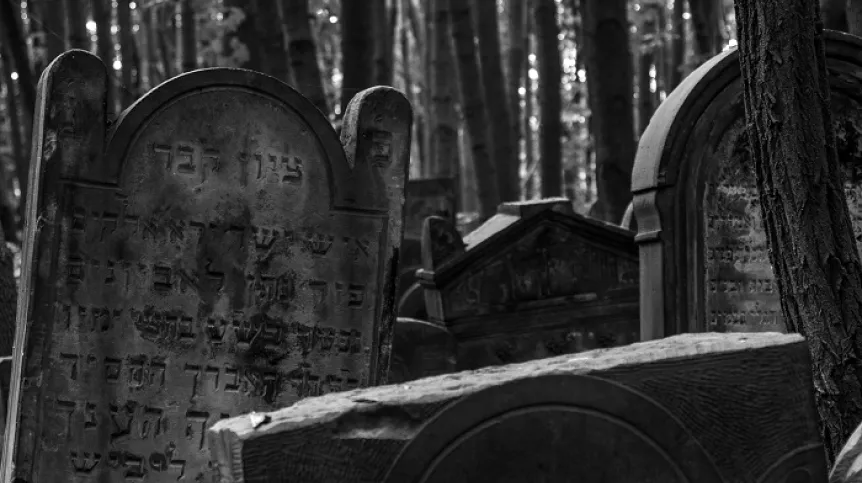 Źródło: Adobe Stock