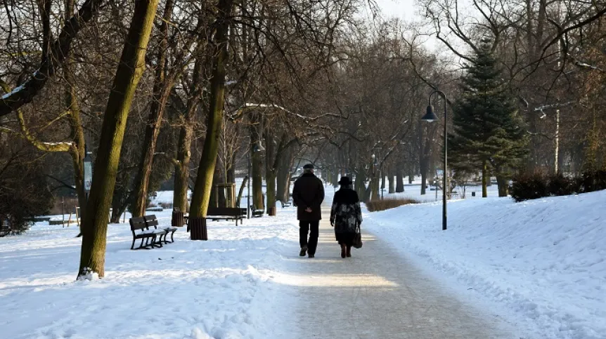 Źródło: Adobe Stock