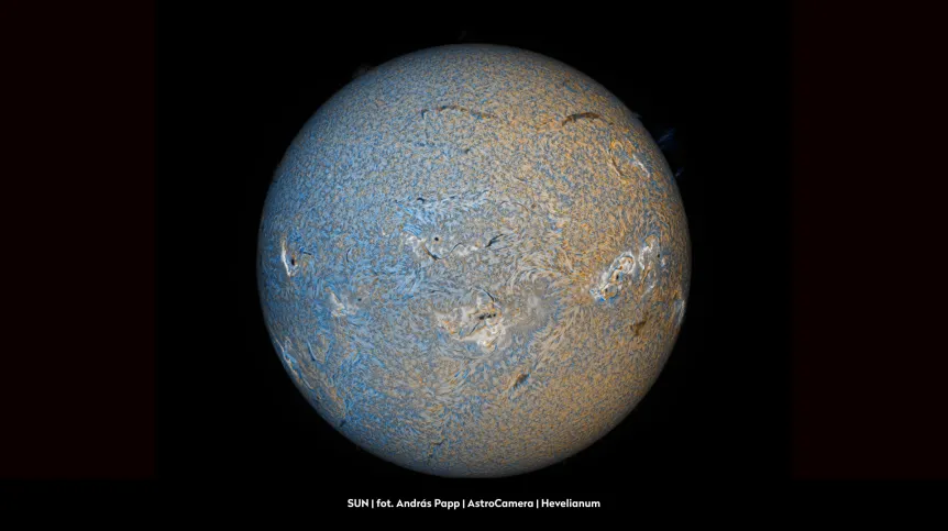 fot. materiały prasowe organizatora