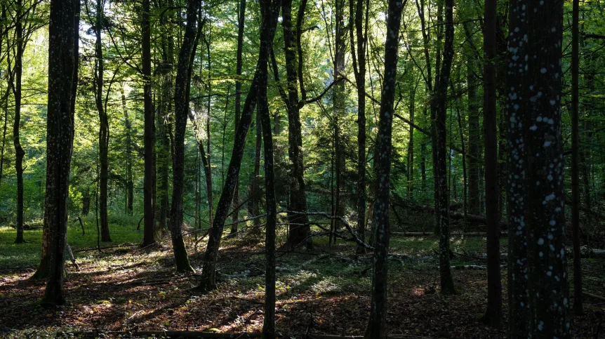 24.09.2025 PAP/Michał Zieliński