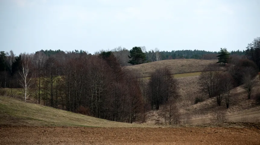 23.03.2025. Pola uprawne. PAP/Michał Zieliński