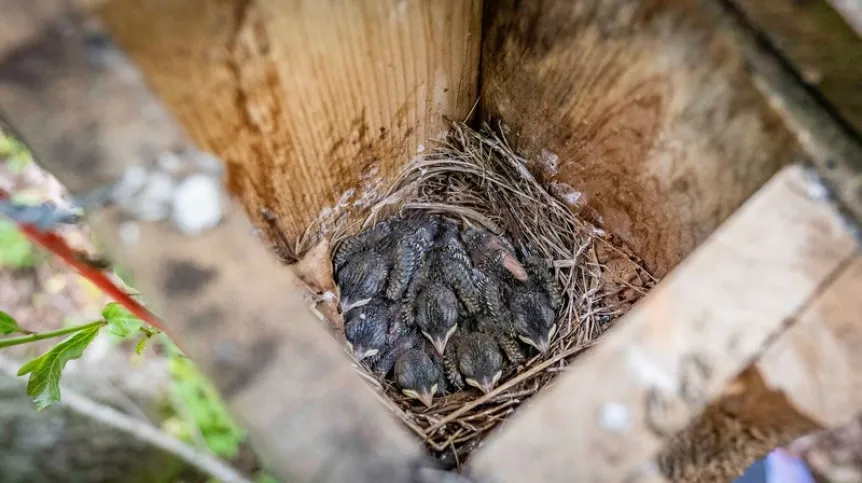 Źródło: UJ, fot. Ignacy Cembrzyński