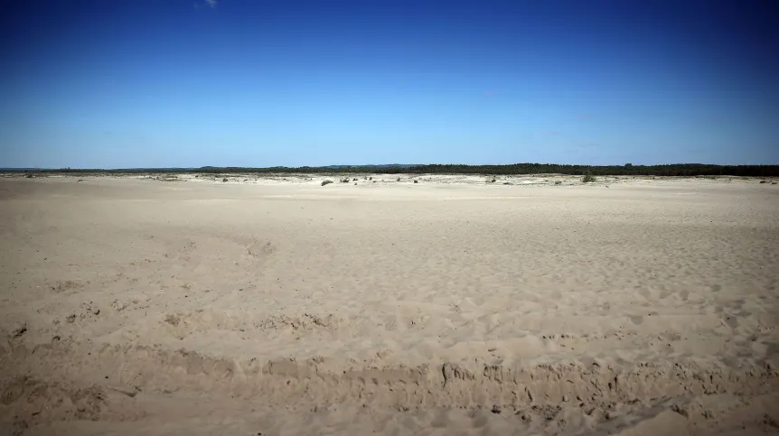 , 03.06.2022. Pustyna Błędowska przed rozpoczęciem sezonu turystycznego, 3 bm. w Kluczach. Pustynia Błędowska to największy w Polsce obszar lotnych piasków, leżący na pograniczu Wyżyny Śląskiej i Wyżyny Olkuskiej. Obszar pustyni objęty jest programem ochrony Natura 2000. PAP/Łukasz Gągulski