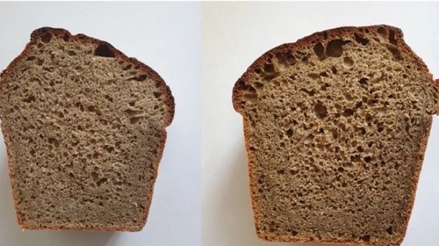  Chleb z mąką ze świerszcza domowego w różnych proporcjach (https://doi.org/10.1108/BFJ-10-2025-1388). Źródło: Dominika Sikora, UMP