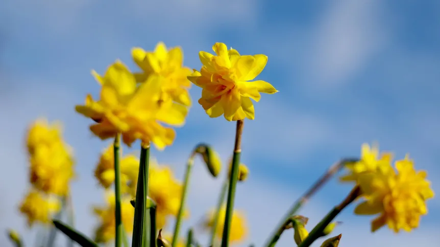 20.03.2026 EPA/Filip Singer 