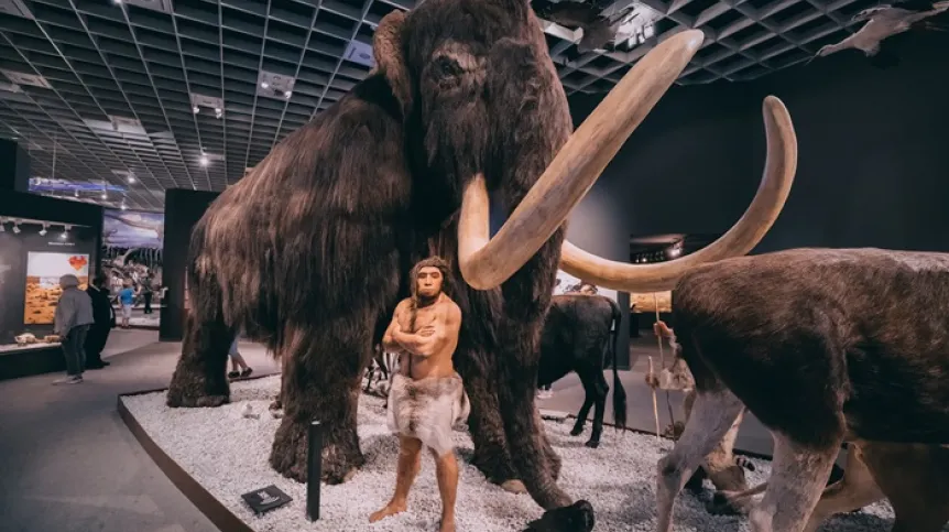 Rekonstrukcja mamuta i myśliwego, Muzeum Historii Naturalnej, Monachium, Adobe Stock