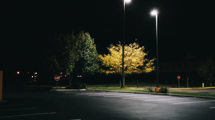 Fot. Adobe Stock