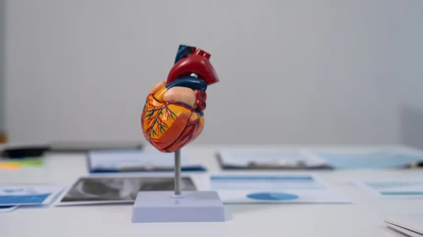 Adobe Stock