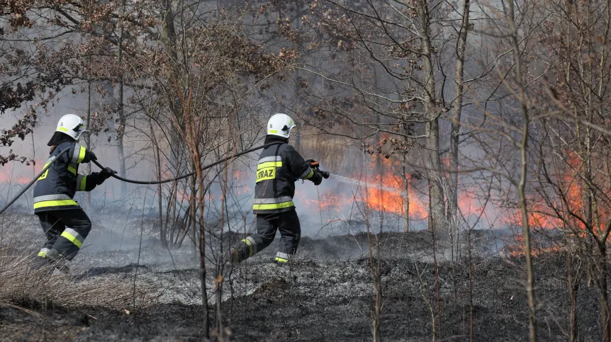 14.04.2022 PAP/Paweł Supernak