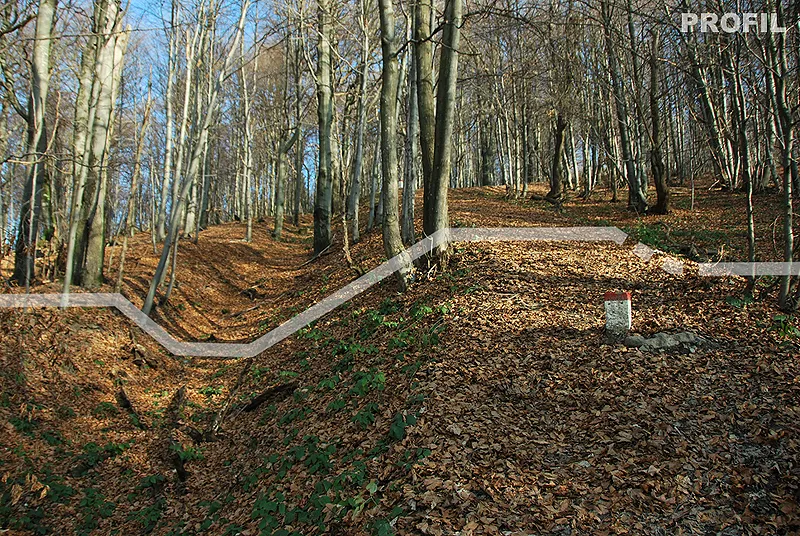 Zarysy szańca nadal są dobrze widoczne w terenie. Fot. P. Sadowski