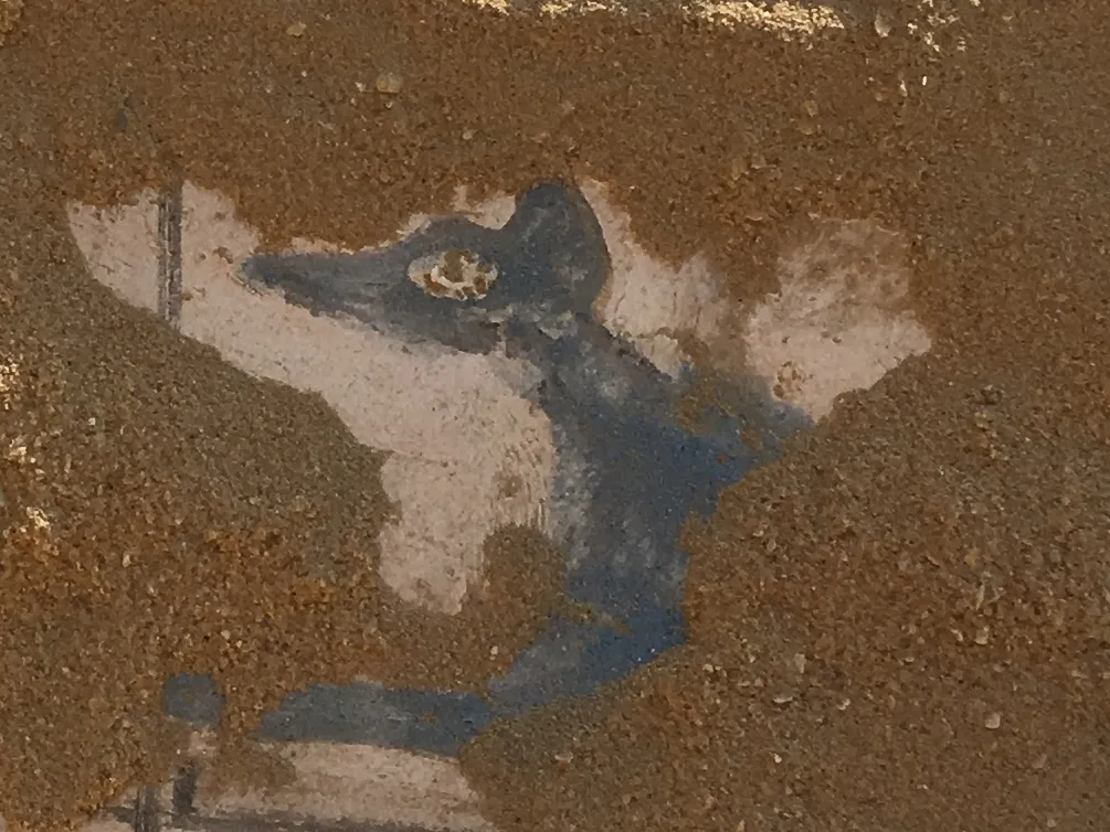Jeden z Anubisów namalowany na stopach jednej z trumien - w czasie eksploracji. Fot. A. Kowalska/PCMA