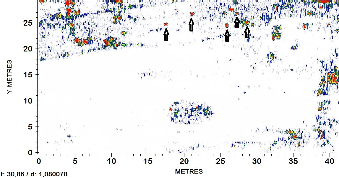 Plan wykonany z pomoca georadaru GPR z zaznaczonymi anomaliami punktowymi (być może czaszkami ludzkimi?). Autor badań: GEO ARCHEO SERVICE FABIAN WELC