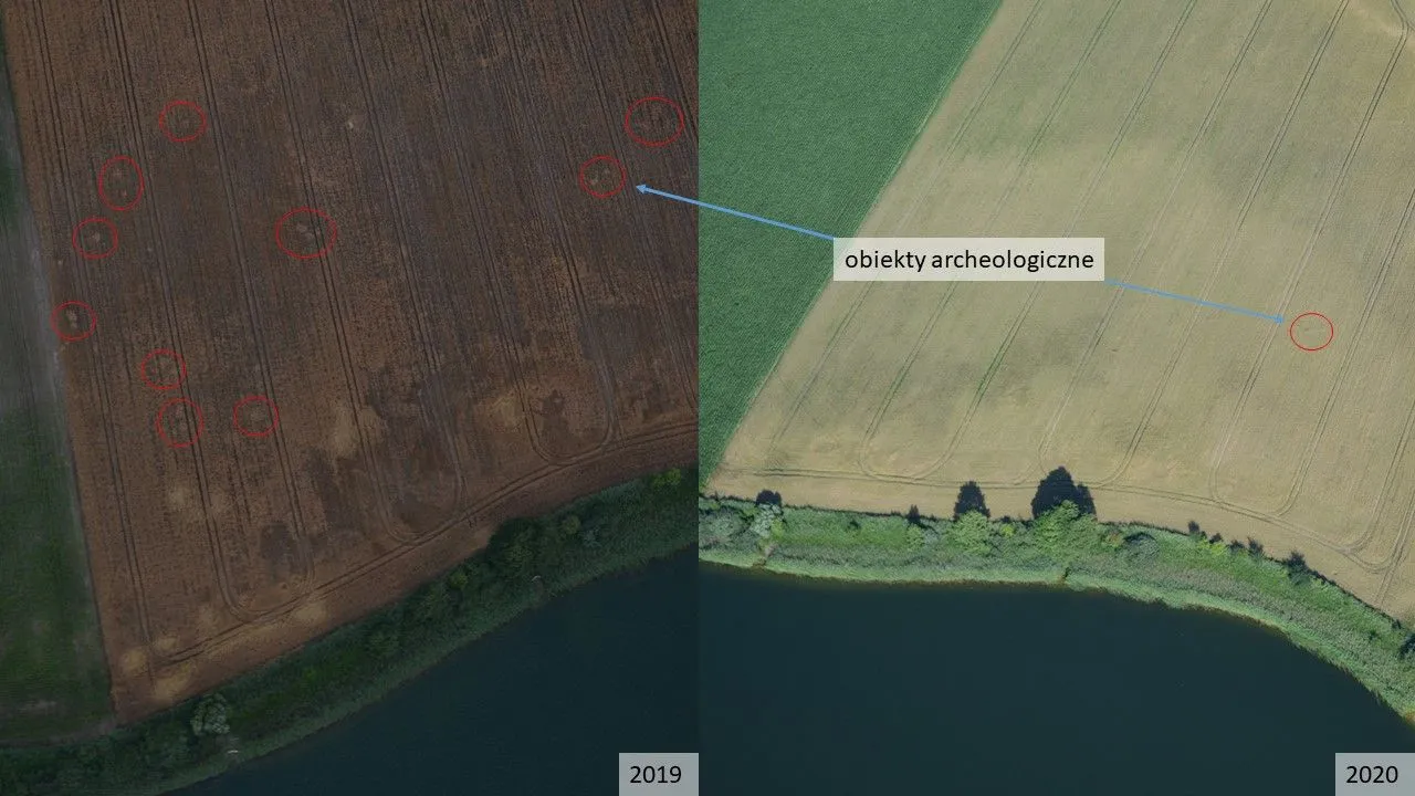 Zdjęcia lotnicze tego samego stanowiska z 2019 i 2020 r. Oprac. Lidia Żuk