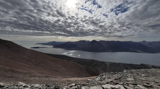 Fot. materiały prasowe