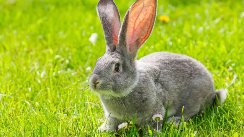 Fot. Fotolia