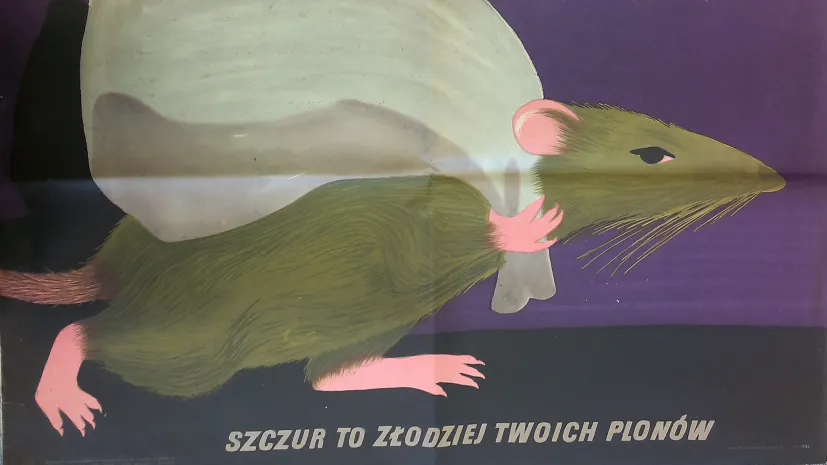 &quot;Szczur to złodziej twoich plonów&quot;, Alicja Laurman-Waszewska, 1955, zbiory: Dokumenty Życia Społecznego, Biblioteka Narodowa