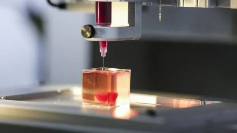 Źródło: EPA/STR Dostawca: PAP/EPA