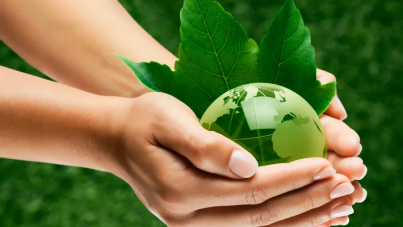 Fot. Fotolia