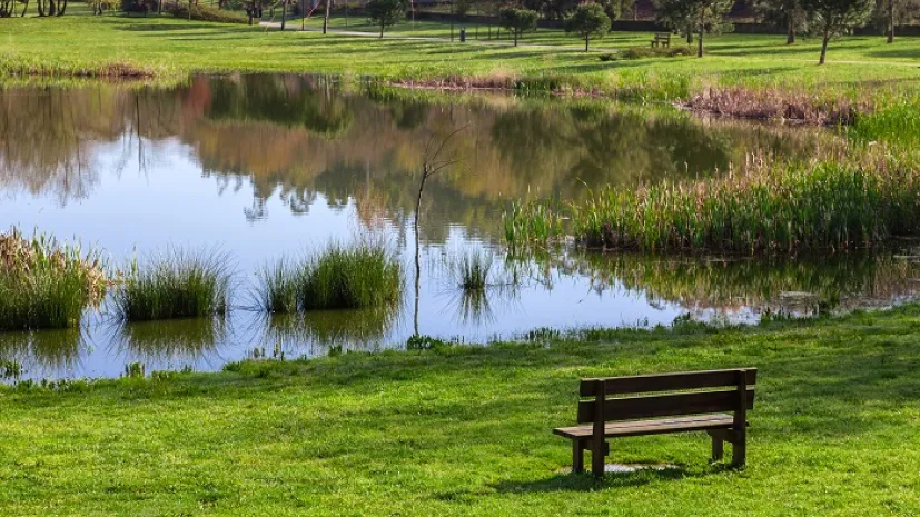 staw miejski w Parque da Devesa Urban Park w Vila Nova de Famalicao (Portugalia); Adobe Stock