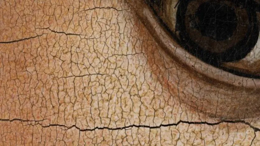 Obraz mikroskopowy "Matki Boskiej z Dzieciątkiem" z Bazyliki Mariackiej w Krakowie. Fot Sergii Antropov.